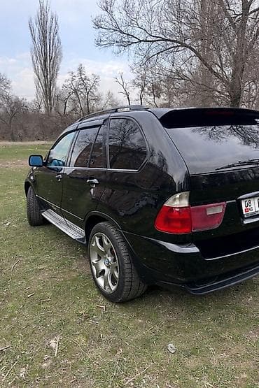 e53 4 8: BMW X5: 2003 г., 3 л, Автомат, Дизель, Кроссовер — 3