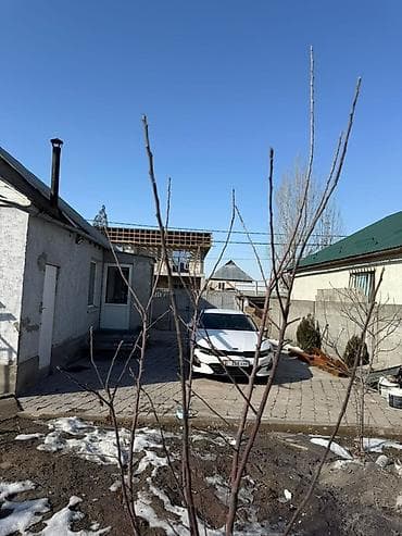 дом в аренду бишкеке: 90 м², 5 комнат — 8