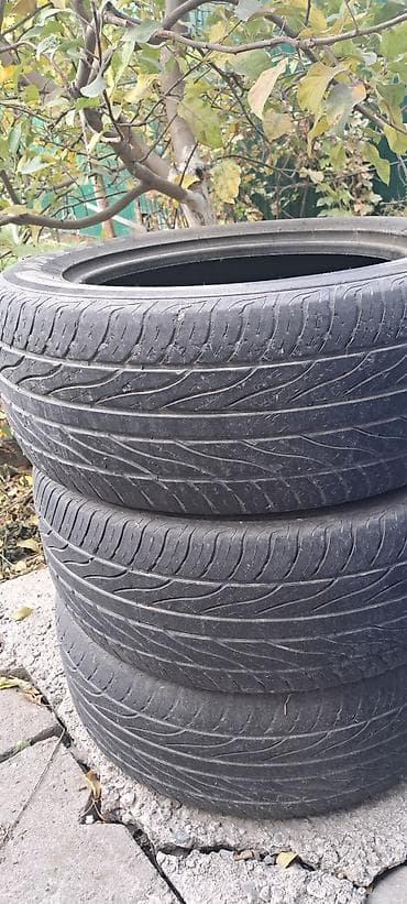 Зимные шипованные шины