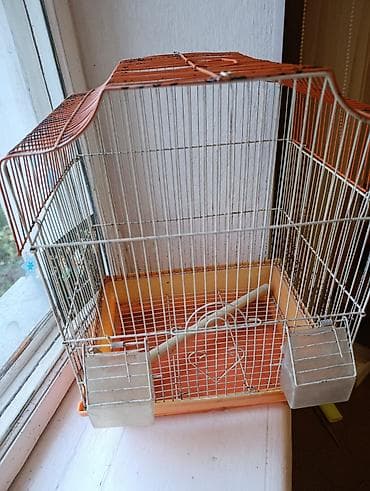 Клетки для домашних питомцев at lalafo.kg Клетки для домашних питомцев