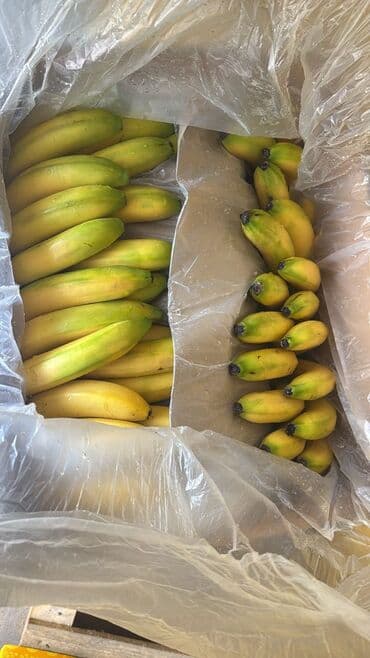 отун сатылат бишкек: Банандар Дүңүнөн — 2