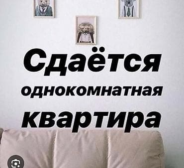 Сдается однокомнатная(3.5*3.3 и 3.5*1.5) квартира(времянка). зимой
