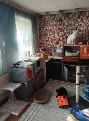 снять комнату в бишкеке на ночь: Гостиница для кошечек и маленьких собачек до 5 кг Предлагаем — 2