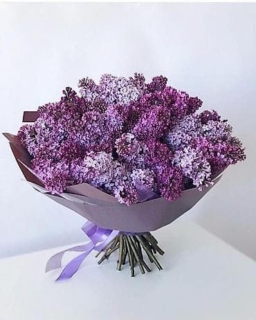 Букет из сирени - Пышная моно-букетная композиция из свежесрезанной
