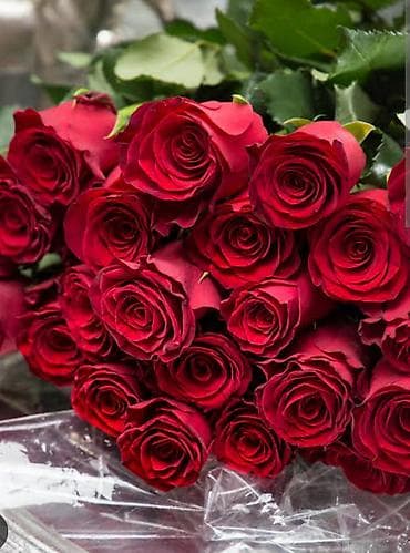 Кийим кооздогучтар: Требуется швеи- ученицы Ответсвеных который действительно хотят — 1