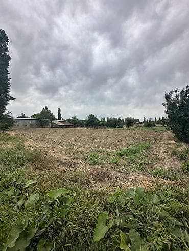 бакай ата ж м: 25 соток, Иштеп жаткан, Жарым-жартылай жабдуулары менен, Электр энергиясы — 10