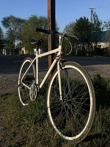 горах: Городской велосипед-фиксер/синглспид - Рама: стальная, классическая — 1