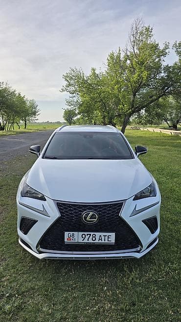 Lexus NX: 2018 г., 2 л, Автомат, Бензин, Кроссовер