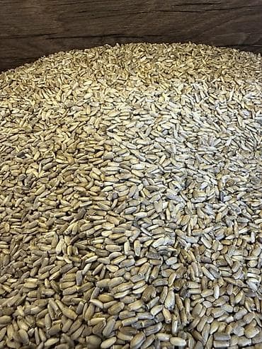 бинзо пила: Оптом семена и крупы из Алтая Высший сорт Подходят для посева, для — 1