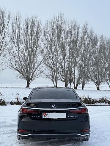 rx 400: Lexus ES: 2019 г., 2.5 л, Автомат, Гибрид, Седан — 5