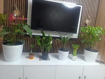 nova city: 2 комнаты, 61 м², 104 серия, 4 этаж, Евроремонт — 1