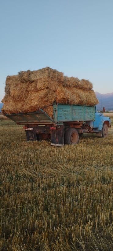 фары на опель вектра б: ЗИЛ : | 1987 г — 3