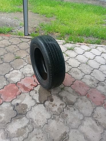 225 55 р17: Шины 225 / 65 / R 17, Всесезонная, Комплект, Внедорожные (АТ/МТ), Dunlop — 5