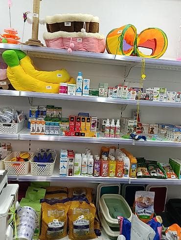 усыпление животных бишкек: ?агазин Ветинтерсервис, Люксембург Ленина 143 — 7