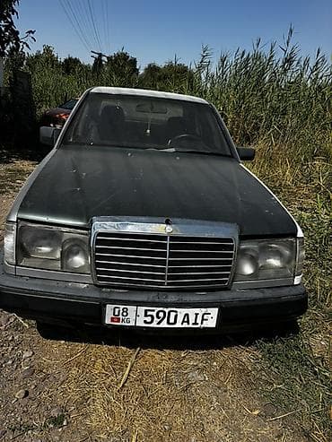 лев: Mercedes-Benz W124: 1988 г., 2.3 л, Механика, Бензин, Седан — 1