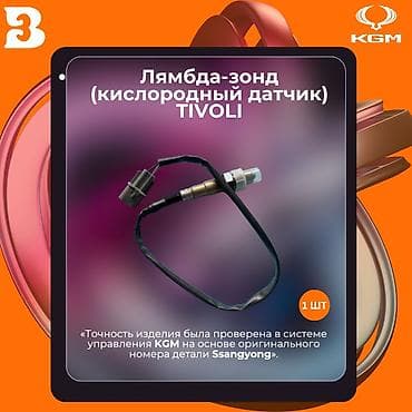 ssang: Лямбда зонд Ssangyong — 1