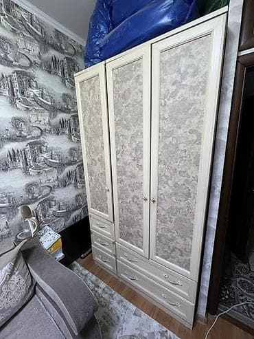 Шкафы: Шифоньер, шкаф для одежды, Б/у, Прямой, ЛДСП — 1