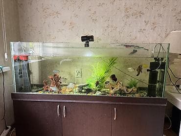 аэрация: Большой комплект аквариума с тумбой и оборудованием - Прозрачный — 3