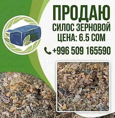 оптом мёд: СИЛОС В УПАКОВКЕ ПО 24-26 кг ВЫСШИЙ СОРТ!!! — 8