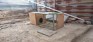 военные сетки: Универсальный вольер для животных, изготовленный из дерева и — 1