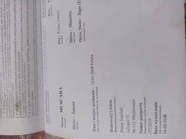 объявления о найденных собаках: Продаю | Кобыла (самка) — 5