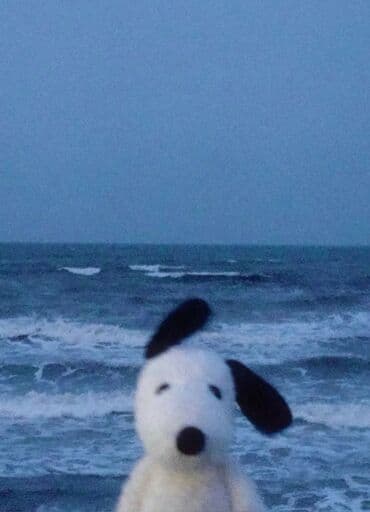 Склад: Доброго времени суток, меня зовут Марлен мне 26лет ищу работу в — 1