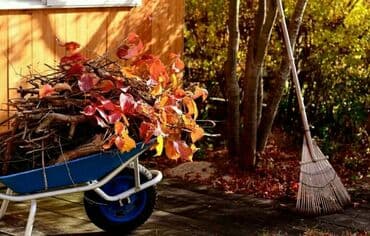 садовник требуется: Уборка территории, Уход за деревьями — 1