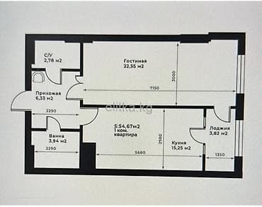 pro group: 1 комната, 55 м², БГУ Элитка, 10 этаж — 5