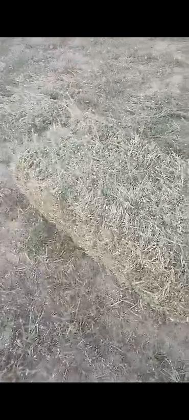 Сено/солома в тюках
с поля
2кос