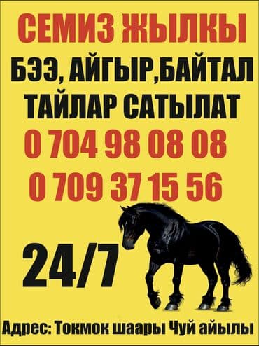 бука ош: Продаю | Кобыла (самка), Конь (самец), Жеребец | На забой, Для разведения, Рабочий — 3
