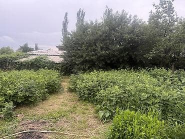 с ленинское участки и дома: В селе Аксуу Аксуйского района Ысыккульской области по улице 50 лет — 8