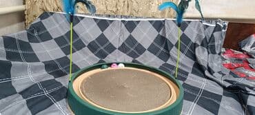 доска объявлений продажа собак: Интерактивная игрушка-лабиринт для кошек - Короб-головоломка с — 5