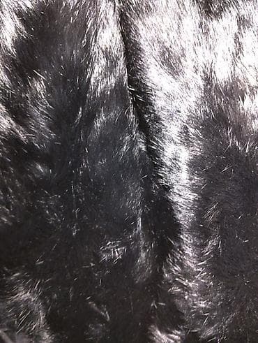 шуба на прокат: Шуба кролик авто леди размер 44,46состояние отличное цена 2000с — 2