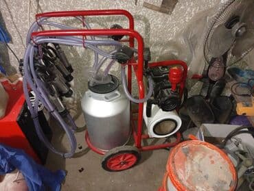 козу сатылат бишкек: Передвижной доильный аппарат на тележке - Тип: электрический — 4