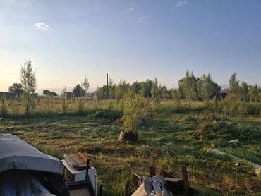 дом с контейнера: Дача, 35 м², 4 комнаты, Собственник, ПСО (под самоотделку) — 3