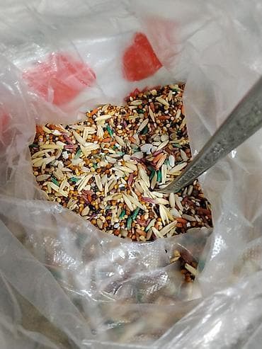 рыба маринка: Аквариумный комплект с декором и подсветкой - Прямоугольный аквариум — 2