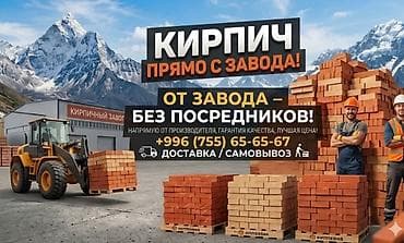 Пустотелый, дырчатый, Жженый кирпич, Полублок, 250×120×90