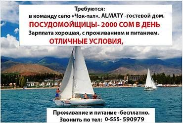 Требуется Посудомойщик, Оплата: Еженедельно