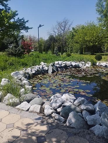 продажа аквариума: Садовый центр/питомник растений и товаров для сада - Широкий выбор — 1