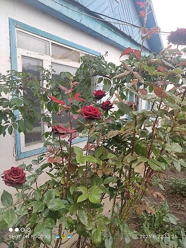 Дом, 80 м², 8 комнат, Собственник, Старый ремонт