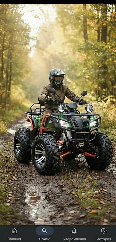 питбайк 100 кубов: Квадроцикл Бензин, 350 куб. см, Взрослый — 1