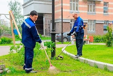 Уборка территории: Уборка территории, Стрижка газона — 2