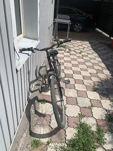 бир: Тоо велосипеди, Lespo, Болот — 3