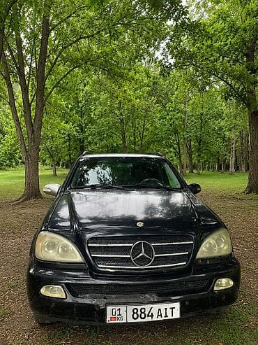срв 2012: Mercedes-Benz ML-Class: 2004 г., 2.7 л, Автомат, Дизель, Внедорожник — 1