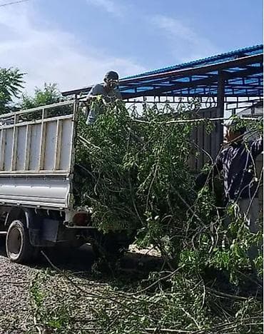 покос травы триммером: Уборка территории, Уборка двора и сада — 2