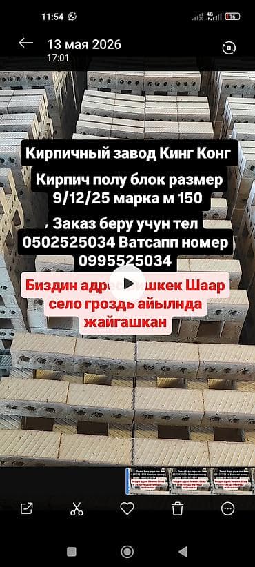 купить комнатные цветы в бишкеке: Пустотелый, дырчатый, Жженый кирпич, Полублок, 250×120×90 — 2
