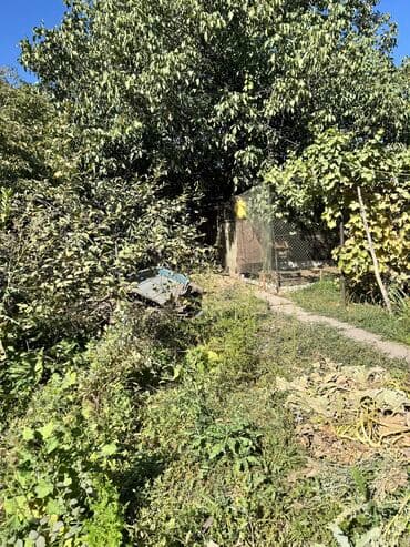 станция ивановка дом: 12 соток, Для строительства, Красная книга, Тех паспорт, Договор купли-продажи — 3