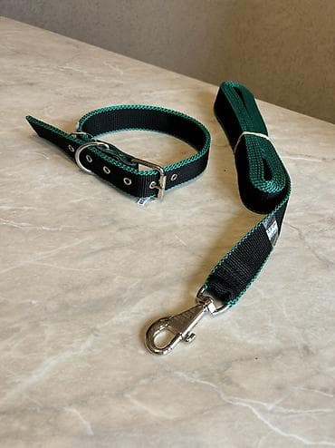 german shepherd: Комплект ошейник+поводок для крупных собак. Амуниция из нейлона — 10