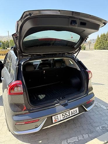 hero 4: Kia Niro: 2017 г., 1.6 л, Автомат, Гибрид, Хэтчбэк — 9