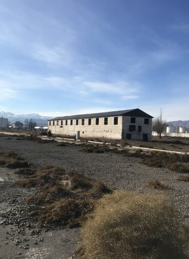 2455 соток, Для бизнеса